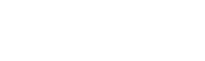 Nubic